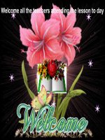 Bài giảng điện tử tham khảo thao giảng, thi GV Anh 6 Unit 8 Out and about (17)