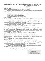 Đề thi học sinh giỏi hóa tham khảo