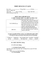 MẪU BỔ SUNG LÝ LỊCH ĐẢNG VIÊN NĂM 2011