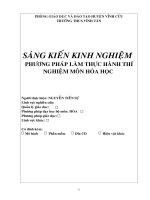 SÁNG KIẾN KINH NGHIỆM  PHƯƠNG PHÁP LÀM THỰC HÀNH THÍ NGHIỆM MÔN HĨA HỌC