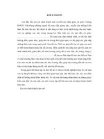 PHÂN TÍCH THỰC TRẠNG TÀI CHÍNH CỦA CÔNG TY THỨC ĂN CHĂN NUÔI XINAN HẢI DƯƠNG