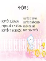 Tổ chức và hoạt động của công ty tài chính I