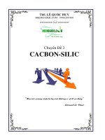 Bài tập trắc nghiệm chuyên đề Cacbon silic
