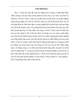 GIẢI PHÁP HOÀN THIỆN HOẠT ĐỘNG MARKETING – MIX TẠI CÔNG TY Điện tử  Công nghiệp – CDC