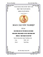 luận văn tài chính ngân hàng Hoạt động cho vay tiêu dùng tại Chi nhánh Ngân hàng Nông nghiệp và Phát triển Nông thôn Đống Đa – Thực trạng và Giải pháp