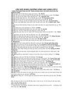 CÂU HỎI THI HỌC SINH GIỎI KHỐI 5