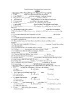 Conditional Sentences exercise