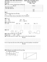 DE KIEM TRA MON TV - TOAN CUOI HKII LOP 3 NAM 2010 - 2011