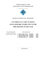 TÁC ĐỘNG CỦA VIỆC SỬ DỤNG  XĂNG SINH HỌC E5 ĐỐI VỚI VẤN ĐỀ  MÔI TRƯỜNG Ở VIỆT NAM
