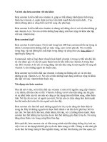 Vai trò của beta caroten với sức khỏe