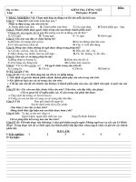 Kiem tra TV ki II lop 9