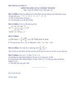 Đề Toán 10 KT HK II số 11