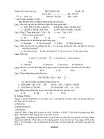 de thi hoc ki 1 hoa 12 nc nam hoc 2010-2011 rat hay