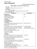 GIAO AN TNXH TUAN 29 - LOP 1