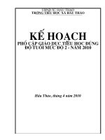 KẾ HOẠCH PHỔ CẬP ( LAO ĐAO)