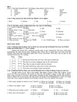 dddef HSG tiếng anh lớp 5