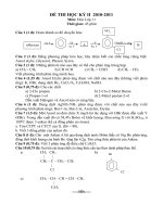 Đề Hóa 11 KT HK II số 13
