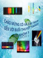 Ứng dụng của tính chất điện từ trong công nghiệp thực phẩm nhóm 4