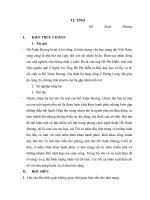 Phân tích bài thơ tự tình