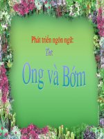 Thơ:Ong và Bướm