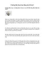 Chuông điện thoại hoạt động như thế nào?