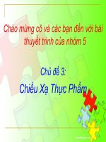 bài thuyết trình Chiếu Xạ Thực Phẩm