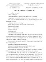 BÁO CÁO THƯỜNG NIÊN CÔNG TY CỔ PHẦN THAN CỌC SÁU