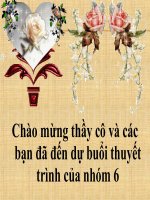 Ứng dụng của tính chất điện từ trong công nghiệp thực phẩm nhóm 2