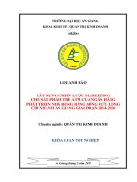 Khóa luận tốt nghiệp ngành Quản trị kinh doanh: Xây dựng chiến lược Marketing cho sản phẩm thẻ ATM của ngân hàng Phát triển Nhà Đồng bằng Sông Cửu Long chi nhánh An Giang giai đoạn 20142016