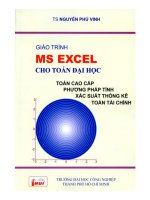 Giáo trình MS excel cho toán đại học  phần 1