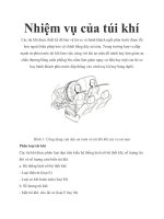 Nhiệm vụ của túi khí