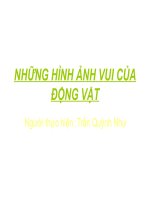 Những hình ảnh ngộ nghĩnh của động vật
