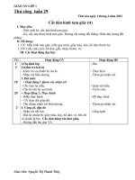 GIAO AN THU CONG TUAN 29 - LOP 1