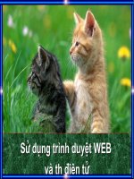 Cách sử dụng trình duyệt Web và thư điện tử(moi)