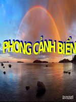 Bộ sưu tập 50 cảnh về biển đẹp tuyệt vời(moi)