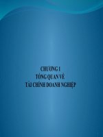 Silde môn quản trị tài chính: Chương 1: Tổng quan