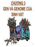 gene and genome of microorganism ( gen và hệ gen của vi sinh vật)