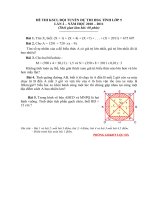 De $ ĐA thi khao sat chat luong doi tuyen hsg lop 5 NH 2010.2011 lan 2