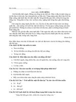 cac bai trac nghiem doc ki 2 lop 3