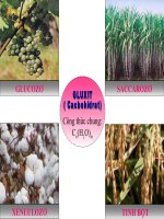 Phản ứng tráng gương