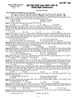 đề thi thử chuyên nguyễn trãi HD có đáp án