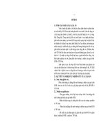 tóm tắt luận án: NGHIÊN CỨU TÁC ĐỘNG ĐẾN MÔI TRƯỜNG TỰ NHIÊN CỦA QUÁ TRÌNH ĐÔ THỊ HÓA  Ở THÀNH PHỐ VINH, TỈNH NGHỆ AN