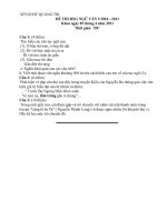 ĐỀ THI HSG TỈNH NGỮ VĂN 9 2010 - 2011