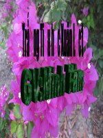 Người đi săn và con vượn (Tuần 32 )