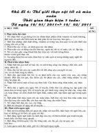 hoa mua xuan meo 2011