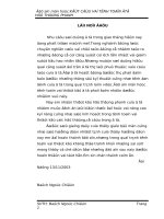 ĐAMH - KẾT CẤU TÍNH TOÁN Ô TÔ - THIẾT KẾ HỆ THỐNG PHANH GUỐC DẪN ĐỘNG THỦY LỰC 2 DÒNG ĐỘC LẬP TRÊN Ô TÔ