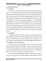 Sáng kiến kinh nghiệm: Một số biện pháp bồi dưỡng năng lực giải toán cho học sinh ở chương phân số lớp 6