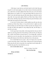 luận văn quản trị kinh doanh Những giải pháp nâng cao chất lượng hoạt động Đón tiếp tại khách sạn Hà Nội Heritage Hotel