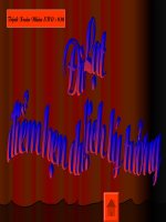 DA LAT THANH PHO MONG MO