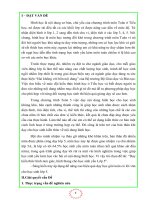 Sáng kiến kinh nghiệm: Dạy kiến thức hình tam giác, hình thang cho học sinh yếu Lớp 5